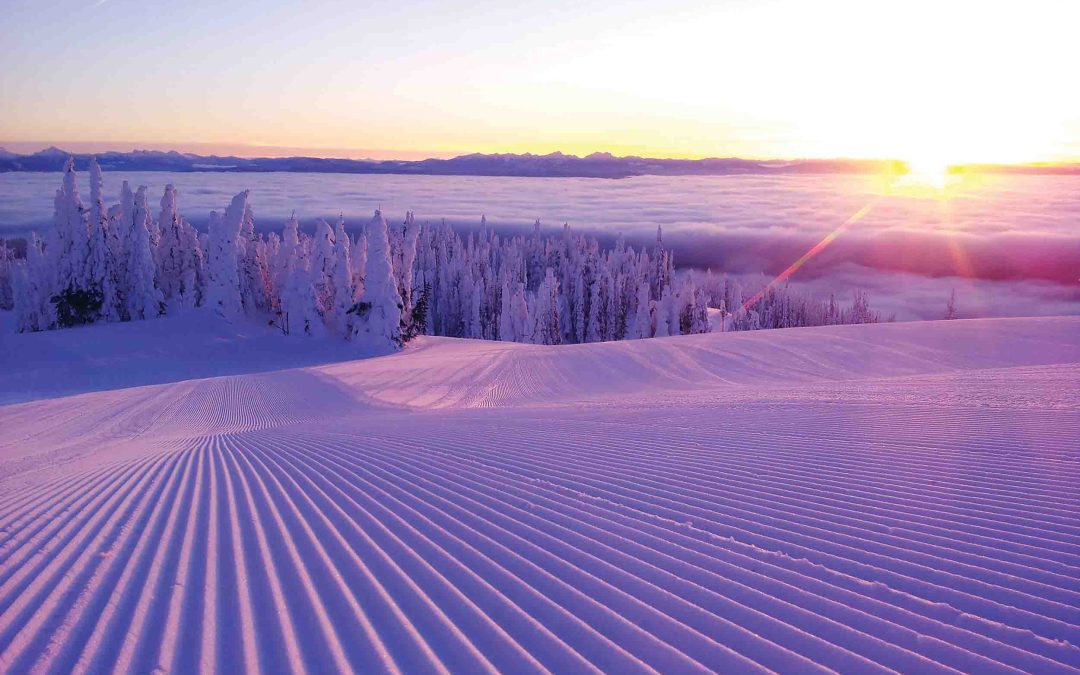 2025 AGM Presentation (Dec 28, 2025)